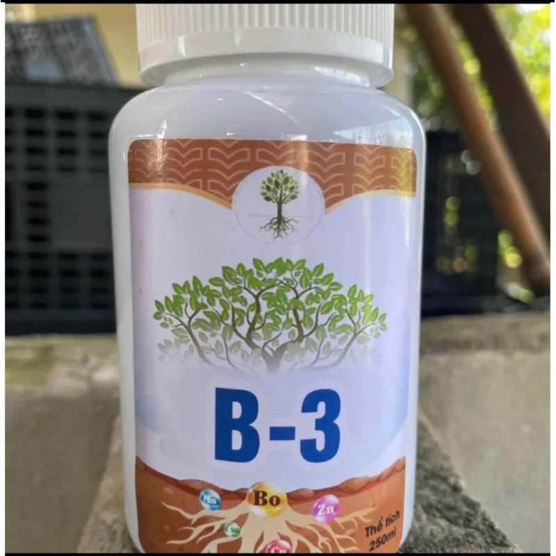 Combo H1 B3 chế phẩm kích quả cho cây cảnh cây bonsai hoa lan