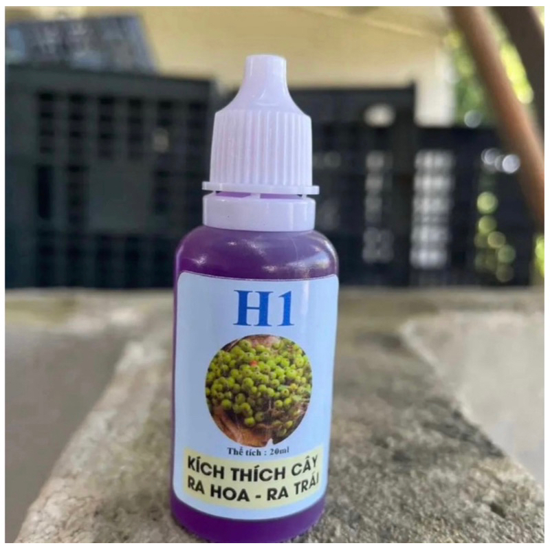 Combo H1 B3 chế phẩm kích quả cho cây cảnh cây bonsai hoa lan