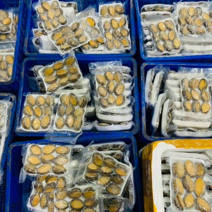 Bào ngư Hàn Quốc Tươi Ngon 500g/Khay  -Làng Hải Sản Mix-Official