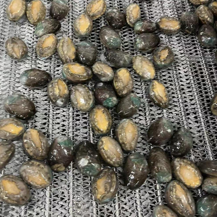 Bào ngư Hàn Quốc Tươi Ngon 500g/Khay  -Làng Hải Sản Mix-Official