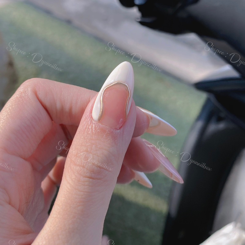 Nailbox móng tay giả mẫu mới 3