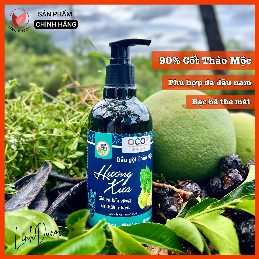 Dầu gội Bưởi Bạc Hà Bồ Kết | Dầu gội Thảo Mộc Thiên Nhiên mọc tóc cho da dầu, gàu, chấy, nấm | Linhducon | 30| HTX AMinh