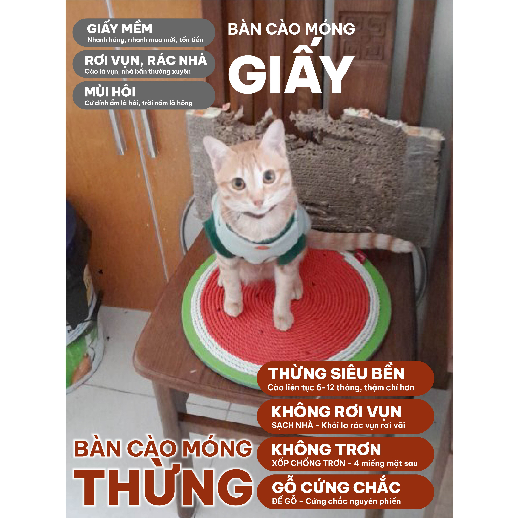 Bàn cào móng siêu bền thừng tái sinh sạch nhà  29*29 cm