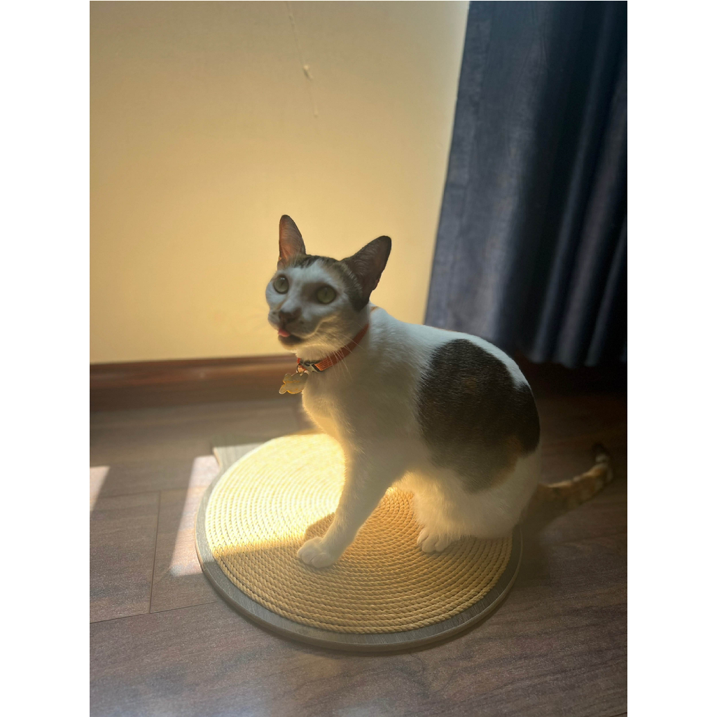 Bàn cào móng siêu bền thừng tái sinh sạch nhà  29*29 cm