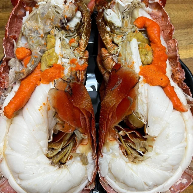 Tôm Hùm Úc Size 800-1.2kg/1con -  Làng Hải Sản Mix-Official