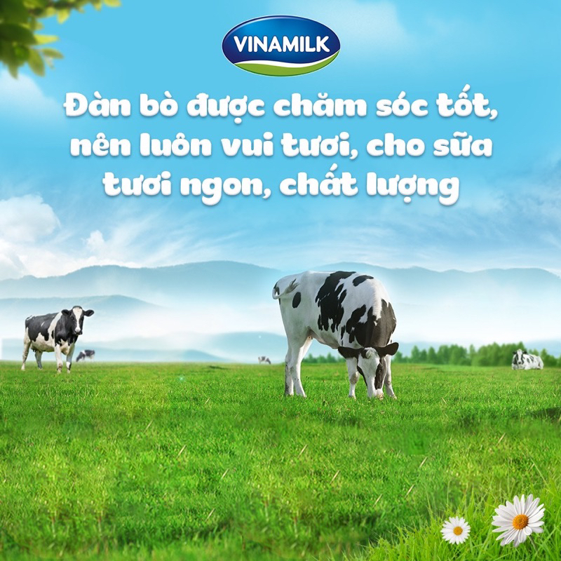 Thùng sữa tươi tiệt trùng 100% Vinamilk  48 hộp  180ml