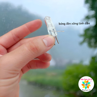 Bóng đèn xông tinh dầu cho đèn tinh dầu 220v