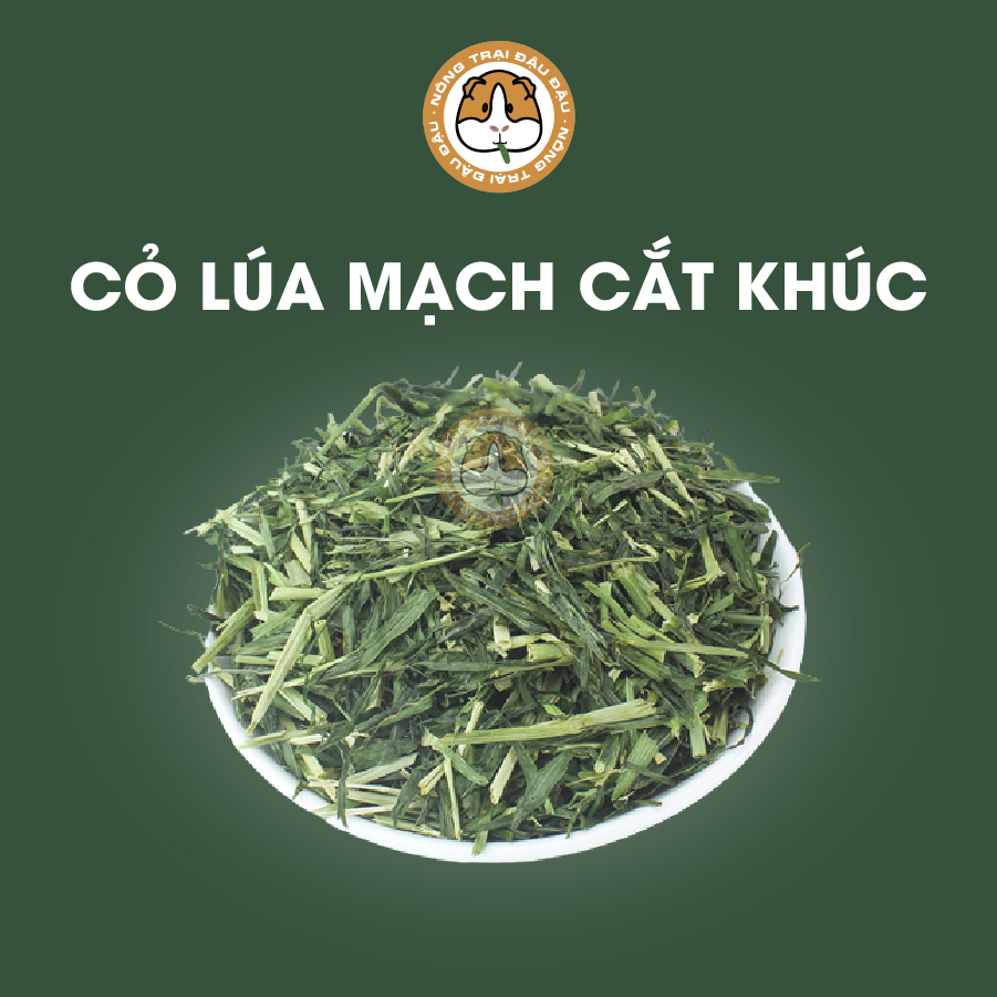 Cỏ lúa mạch siêu dinh dưỡng dành cho Thỏ, Bọ Ú cắt sẵn, đảm bảo thơm