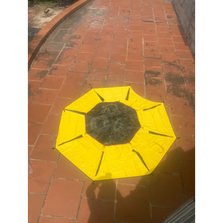 Vải ô dù câu cá thay thế_vải dù kim long câu đài 2m2-2m4