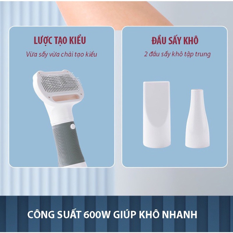 Máy sấy lông chó mèo công suất lớn, máy sấy lông chó mèo kèm lược