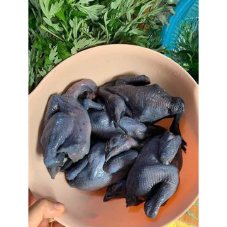 [SHIP HOẢ TỐC HCM] ☘ GÀ ÁC NGUYÊN CON