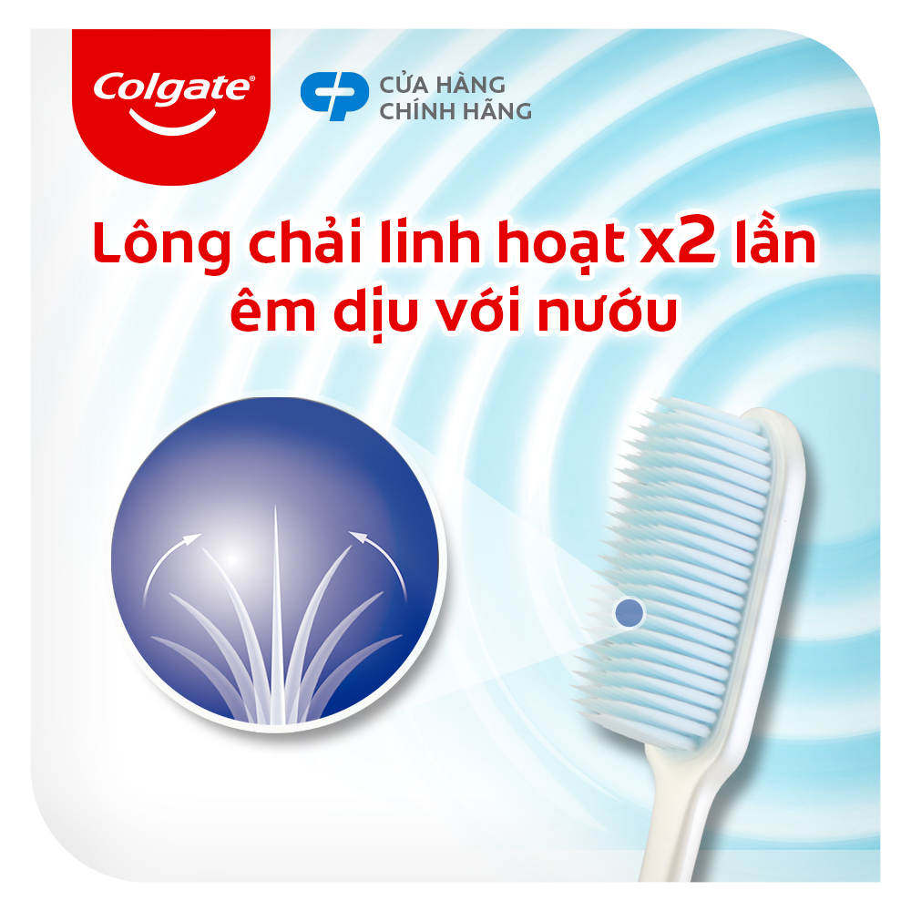 Bàn chải Colgate Slimsoft Flex Clean nguyên khối siêu mềm mảnh, sạch sáng bóng