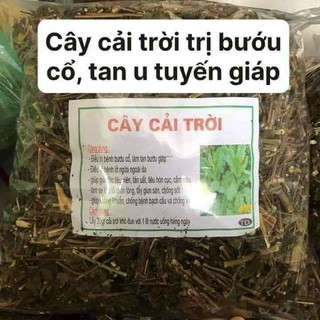 Cây Cải trời phơi khô 500g