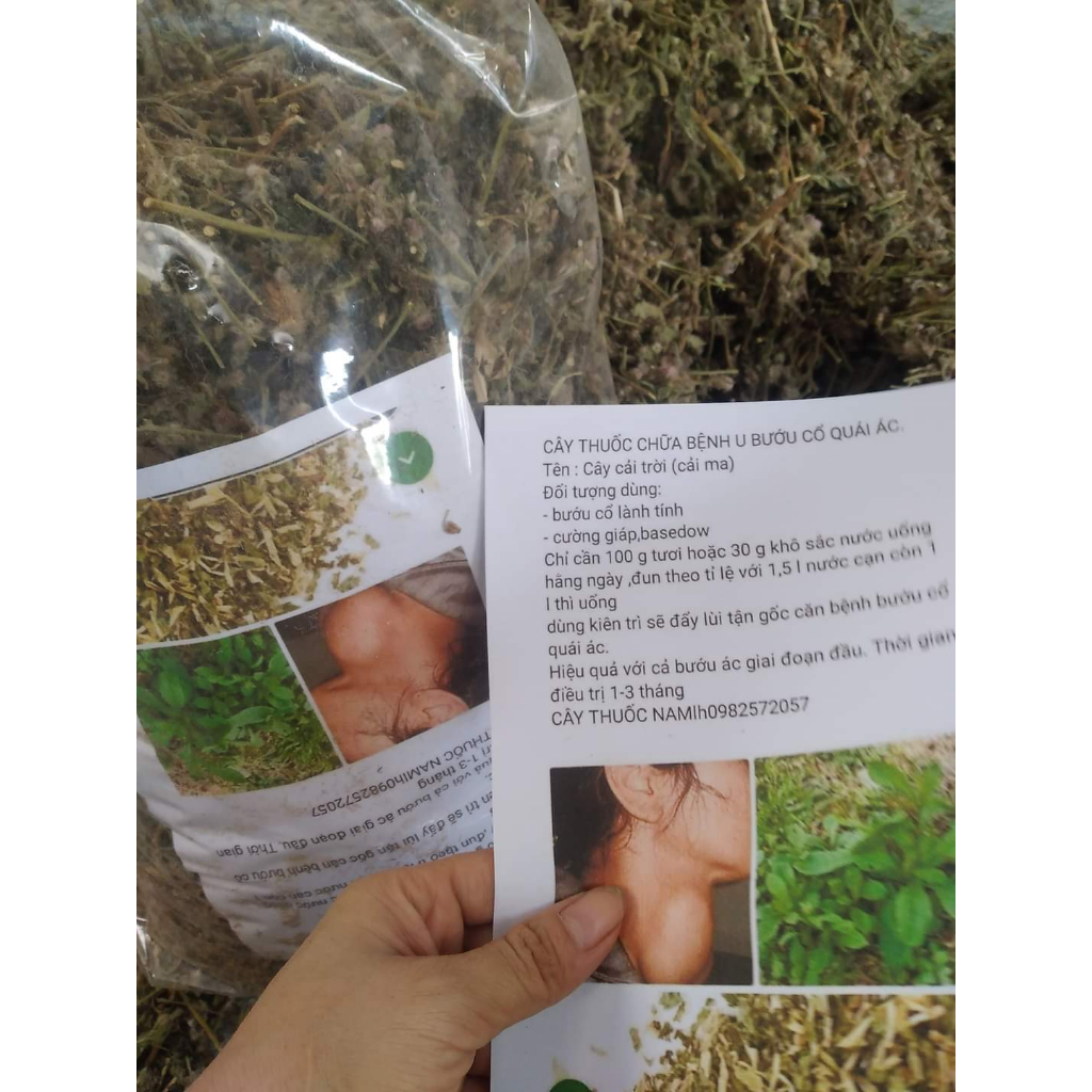 Cây Cải trời phơi khô 500g