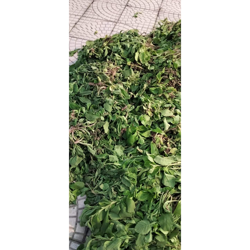 Cây Cải trời phơi khô 500g