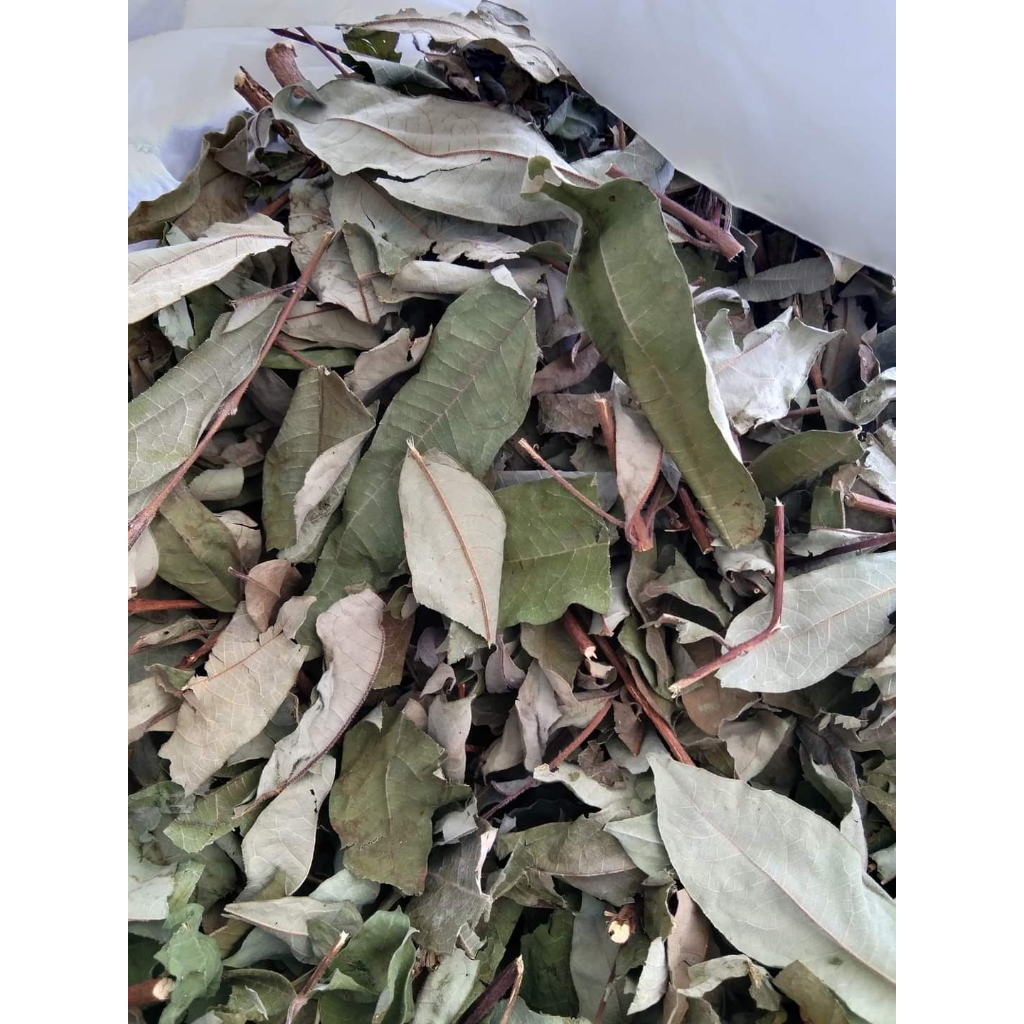 Cây Thành Ngạnh  phơi khô 500g