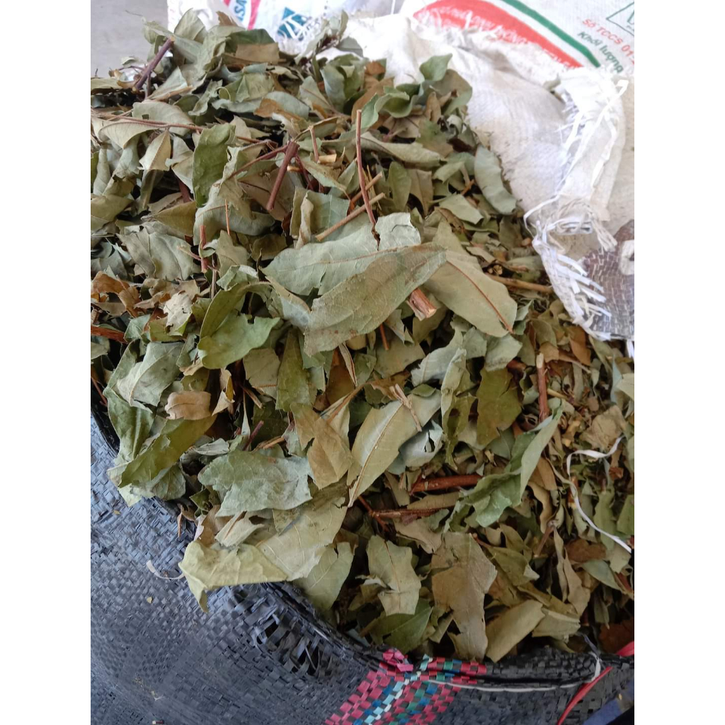 Cây Thành Ngạnh  phơi khô 500g