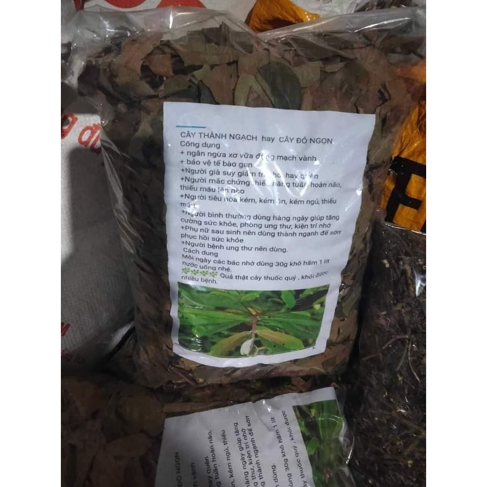 Cây Thành Ngạnh  phơi khô 500g