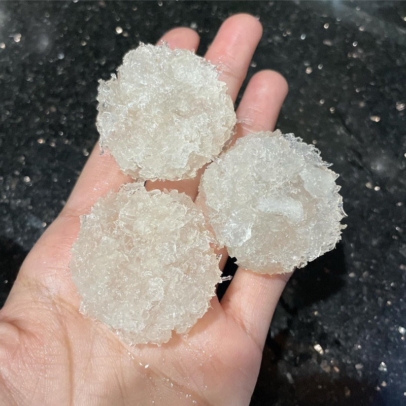 Combo 10 Túi Yến Vụn 15g +🎁Nguyên liệu chưng