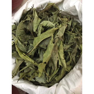 (Dược liệu khô) Lá Vối phơi khô 500g