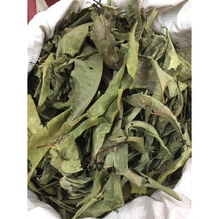 (Dược liệu khô) Lá Vối phơi khô 500g