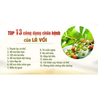 (Dược liệu khô) Lá Vối phơi khô 500g