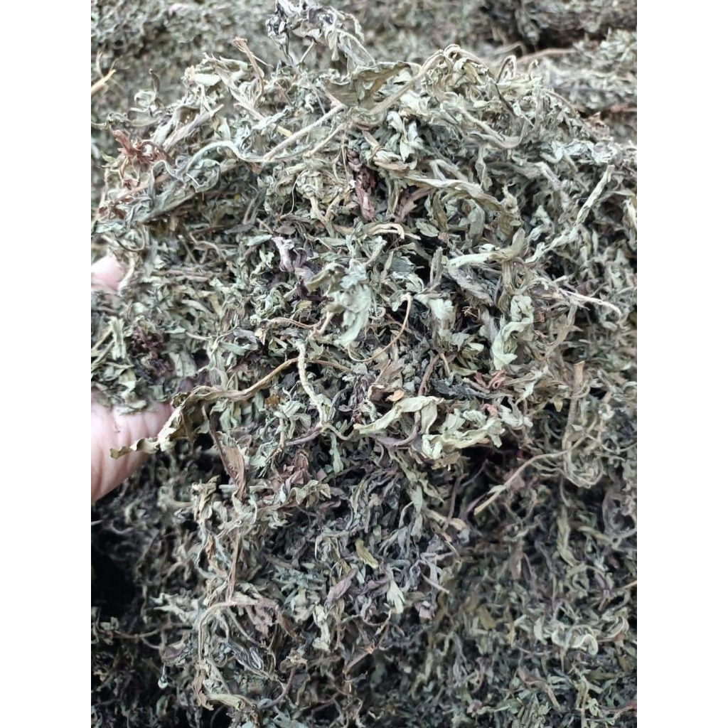 Cây Ngãi Cứu phơi khô 500g