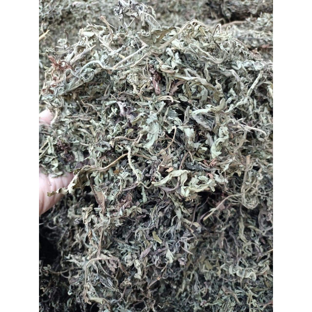 Cây Ngãi Cứu phơi khô 500g