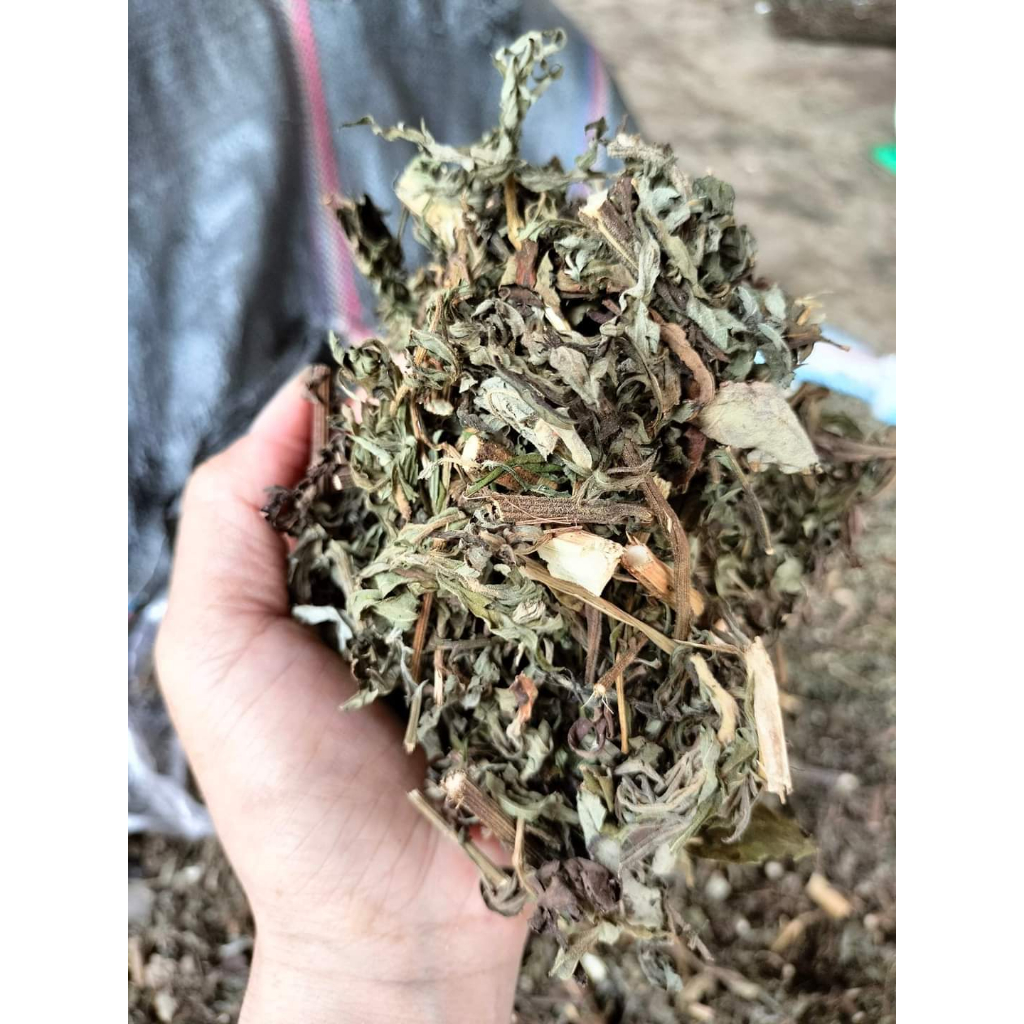 Cây Ngãi Cứu phơi khô 500g