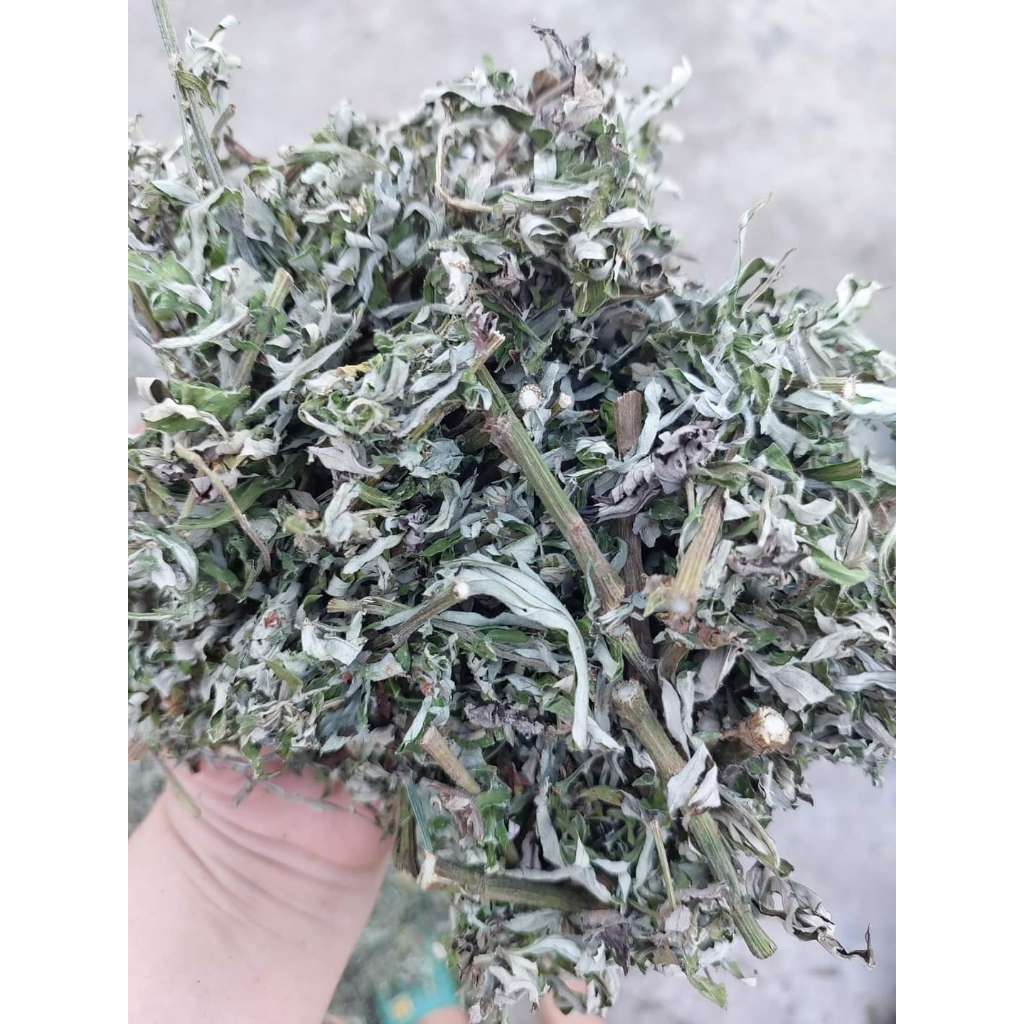 Cây Ngãi Cứu phơi khô 500g