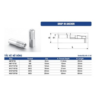 Tắc kê đạn inox 304 ( Combo 10 con)