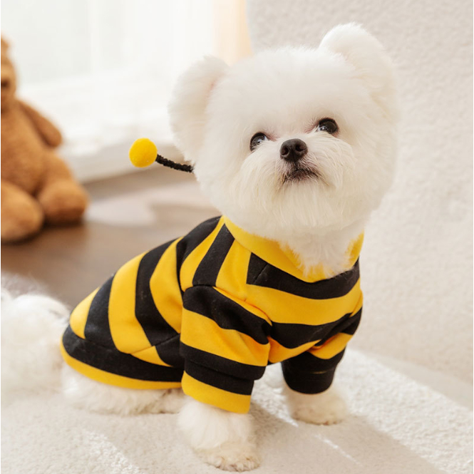 ÁO HOODIE ONG VÀNG CÓ MŨ MÙA THU ĐÔNG ẤM ÁP ĐÁNG YÊU CHO THÚ CƯNG