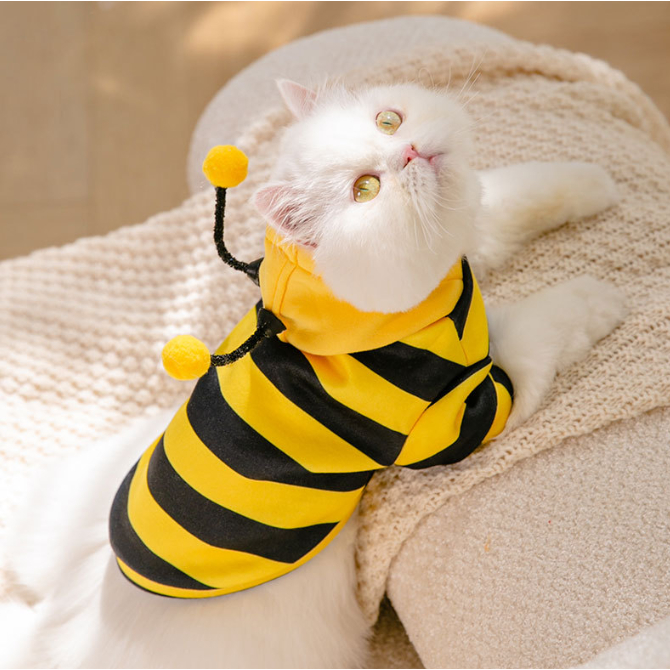 ÁO HOODIE ONG VÀNG CÓ MŨ MÙA THU ĐÔNG ẤM ÁP ĐÁNG YÊU CHO THÚ CƯNG