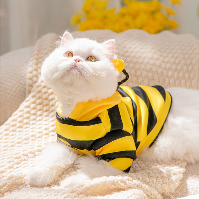 ÁO HOODIE ONG VÀNG CÓ MŨ MÙA THU ĐÔNG ẤM ÁP ĐÁNG YÊU CHO THÚ CƯNG