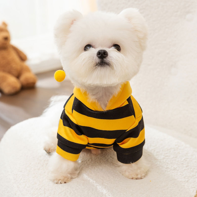 ÁO HOODIE ONG VÀNG CÓ MŨ MÙA THU ĐÔNG ẤM ÁP ĐÁNG YÊU CHO THÚ CƯNG