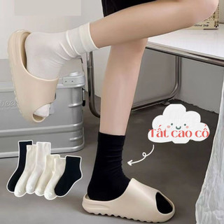 Tất nhún Tất cao cổ Tất cổ nhún Vớ cổ cao Tất nữ hàn quốc