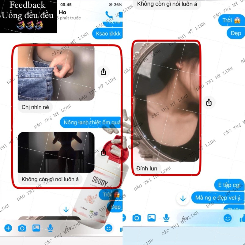 SBODY PLUS - 24 VIÊN