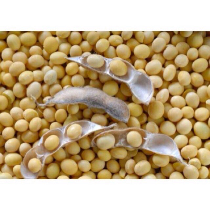 Đỗ tương 500g - 1kg