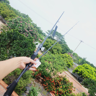 (Chính Hãng) Cần Abu Black Max Phiên bản 2023