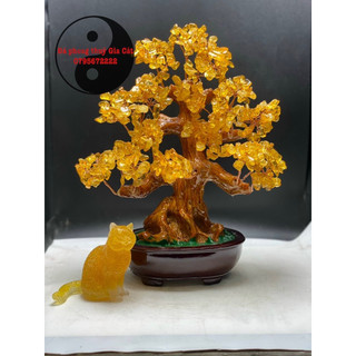 Cây đá tài lộc phong thuỷ để bàn siêu đẹp 30cm kiểm định
