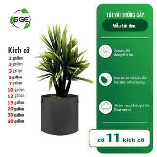 Túi vải địa , Chậu Vải Trồng Cây SGE GB Thoát Nước Tốt Thoáng Khí, Cây Sinh Trưởng Nhanh, Chống Tia UV Nấm Mốc