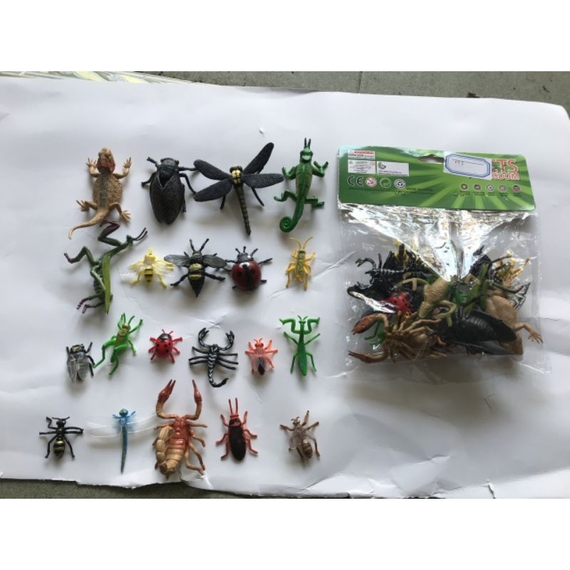 Mô hình côn trùng túi combo 20 con