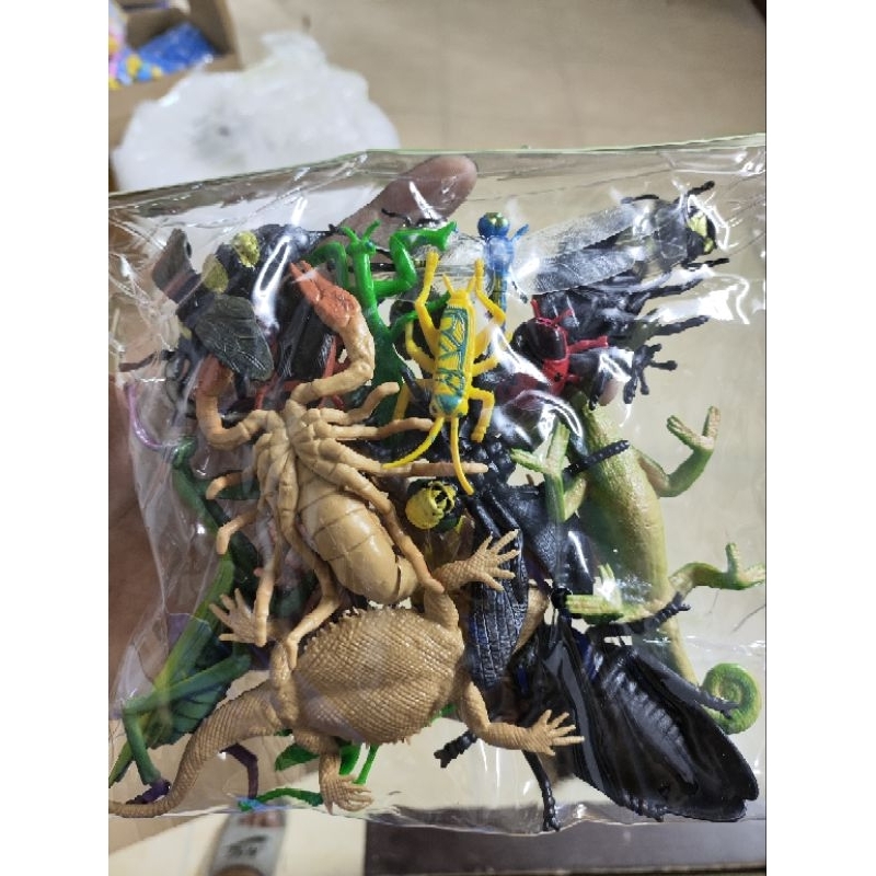Mô hình côn trùng túi combo 20 con