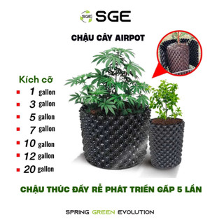 Chậu Trồng Cây / Bầu Ươm Cây SGE AP Chất Liệu HDPE, Lỗ Thoáng Giúp Cây Lớn Nhanh Chống Thối Rễ