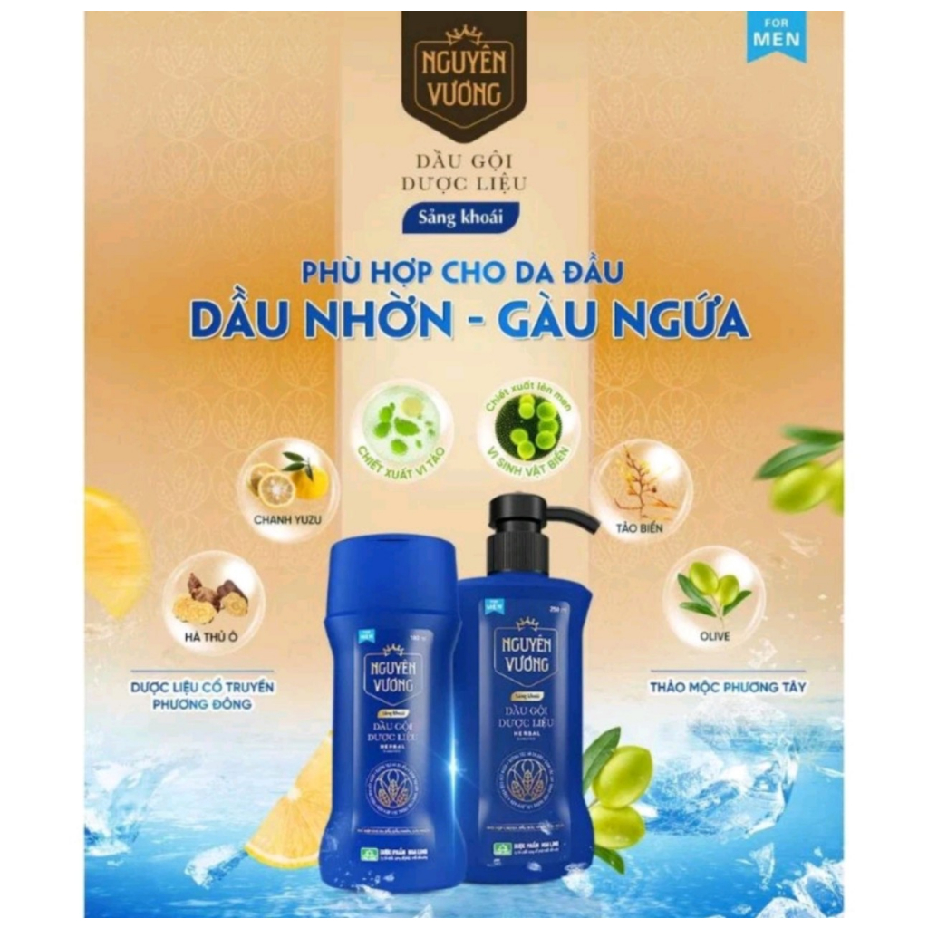Dầu gội dược liệu Nguyên Vương Sảng khoái dành cho nam chai  200ml và 250ml - Hương sảng khoái mới