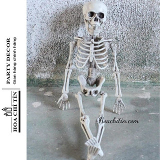 Bộ Xương Mô Hình 3D bộ xương da quang phát sáng trang trí Halloween