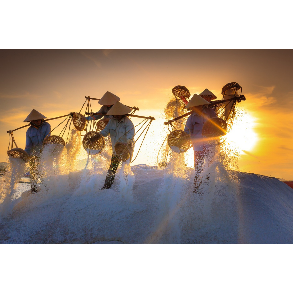 COMBO 3 MUỐI HỘT NAM ĐỊNH  NADI - NADI SALT Muối - Chuẩn Xuất Khẩu Nhật, Sạch, An Toàn- Ít mặn, ít chát - Xanh Suốt HCM