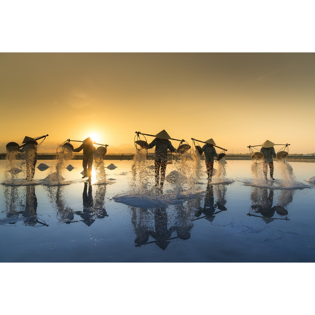 COMBO 3 MUỐI HỘT NAM ĐỊNH  NADI - NADI SALT Muối - Chuẩn Xuất Khẩu Nhật, Sạch, An Toàn- Ít mặn, ít chát - Xanh Suốt HCM