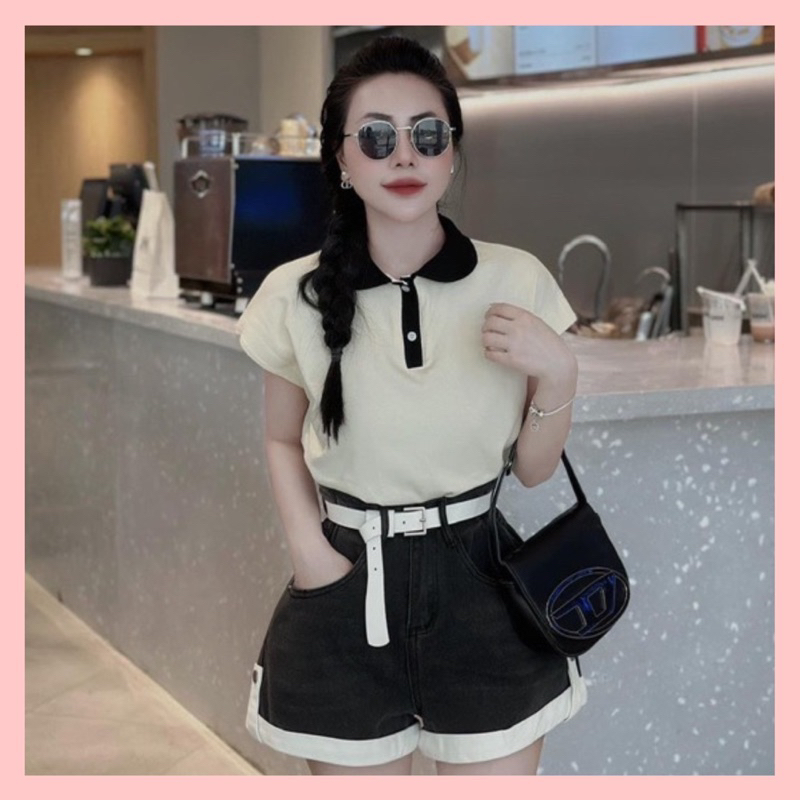 Áo polo nữ cổ sen thanh lịch cho các nàng chất cottong xịn hàng loại 1 | BigBuy360 - bigbuy360.vn