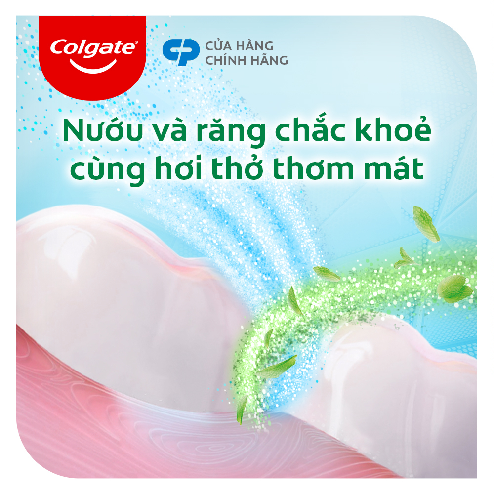 Bộ 3 kem đánh răng Colgate bảo vệ nướu Muối Thảo Dược Herbal Salt 225gx3